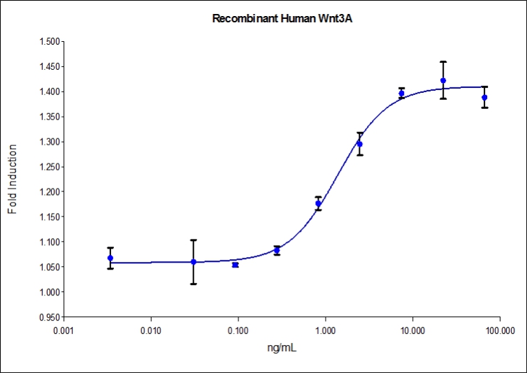 HumanKine® recombinant human Wnt3A protein