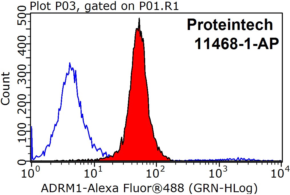 ADRM1 Polyclonal antibody