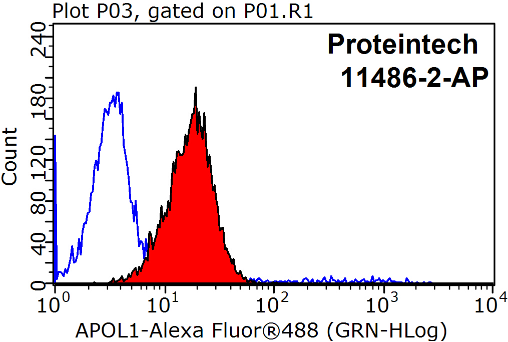 APOL1 Polyclonal antibody