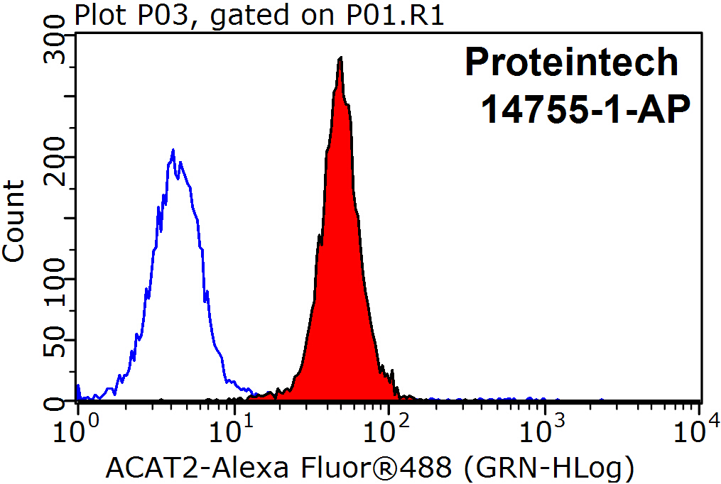 ACAT2 Polyclonal antibody