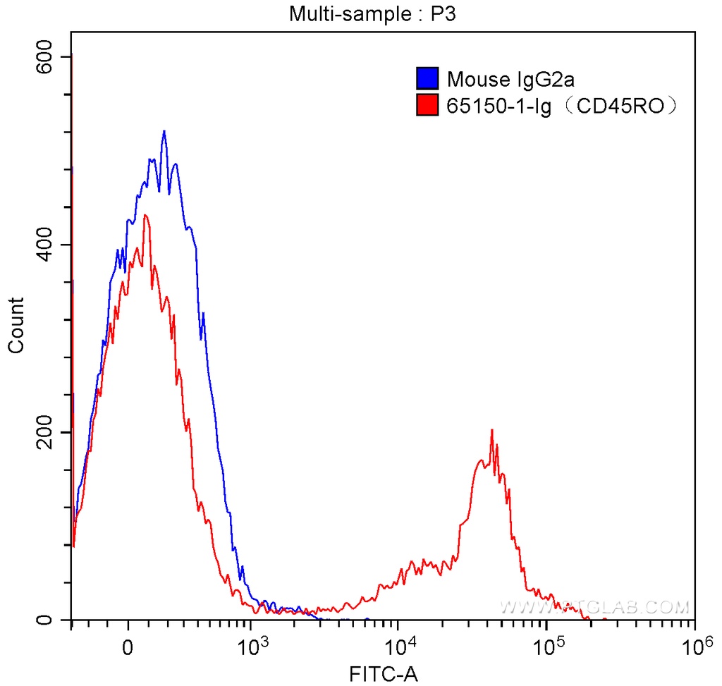 Anti-Human CD45RO (UCHL1)