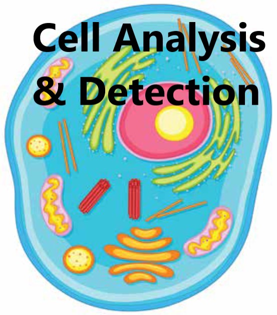 EZdetect™ Cell Senescence Detection Kit     