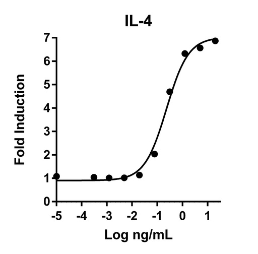 [HZ-1004-10UG] HumanKine® recombinant human IL-4 protein