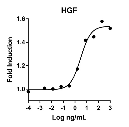 [HZ-1084-1000UG] HumanKine® recombinant human HGF protein