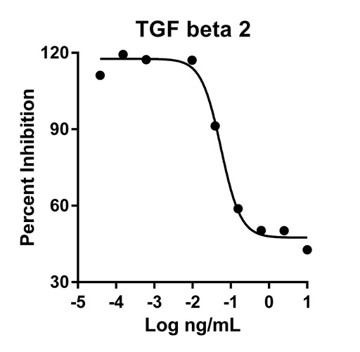 [HZ-1092-100UG] HumanKine® recombinant human TGF beta 2 protein