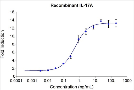 [HZ-1113-1000UG] HumanKine® recombinant human IL-17 (IL-17A) protein