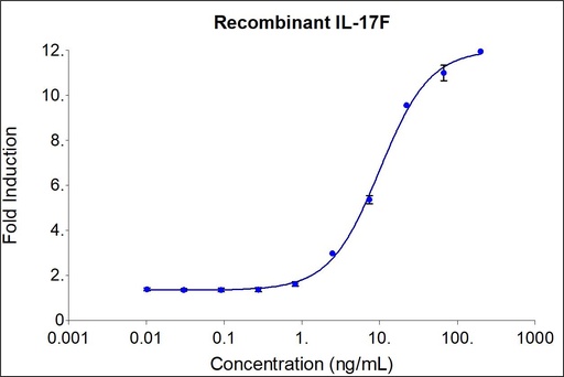 [HZ-1116-100UG] HumanKine® recombinant human IL-17F protein