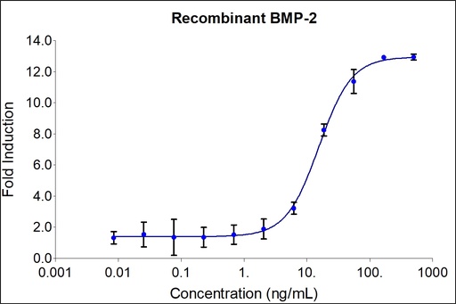 [HZ-1128-1000UG] HumanKine® recombinant human BMP-2 protein