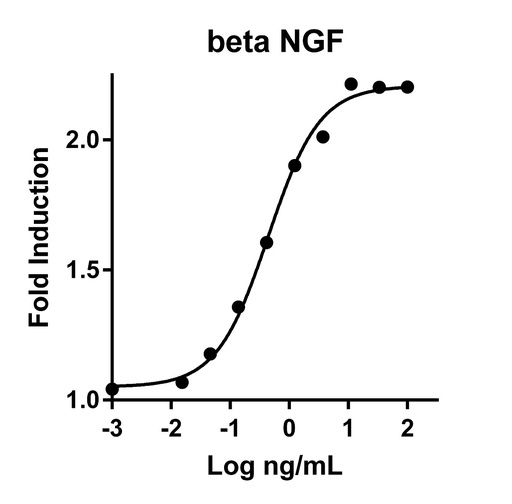[HZ-1222-1000UG] HumanKine® recombinant human beta NGF protein
