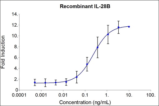 [HZ-1245-1000UG] HumanKine® recombinant human IL-28B protein
