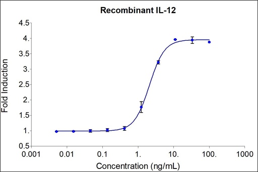 [HZ-1256-100UG] HumanKine® recombinant human IL-12 protein