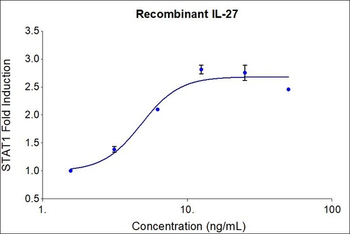 [HZ-1275-100UG] HumanKine® recombinant human IL-27 protein