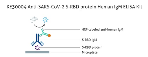 [KE30004-96T] Anti-SARS-CoV-2 S-RBD protein Human IgM ELISA Kit