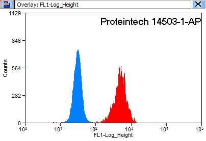 [14503-1-AP-150UL] 14-3-3 Polyclonal antibody