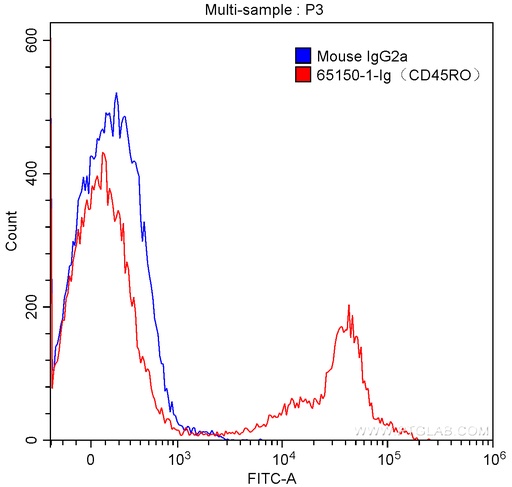 [65150-1-IG-100UG] Anti-Human CD45RO (UCHL1)