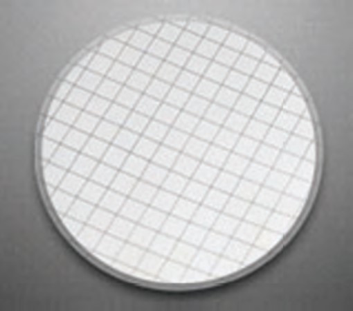 [SF97A-1x100NO] Gridded Cellulose  Nitrate Membrane