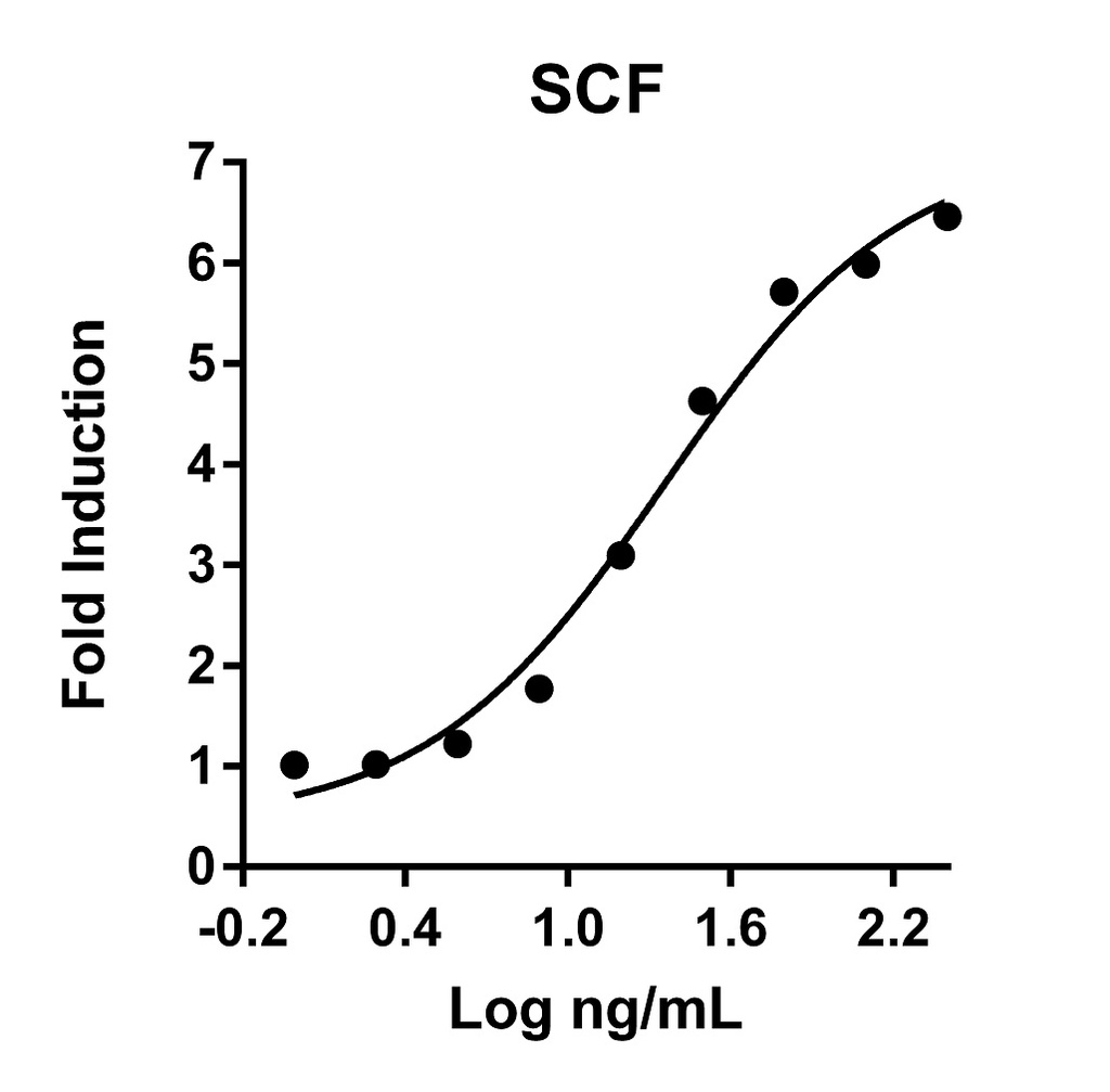 HumanKine® recombinant human SCF protein