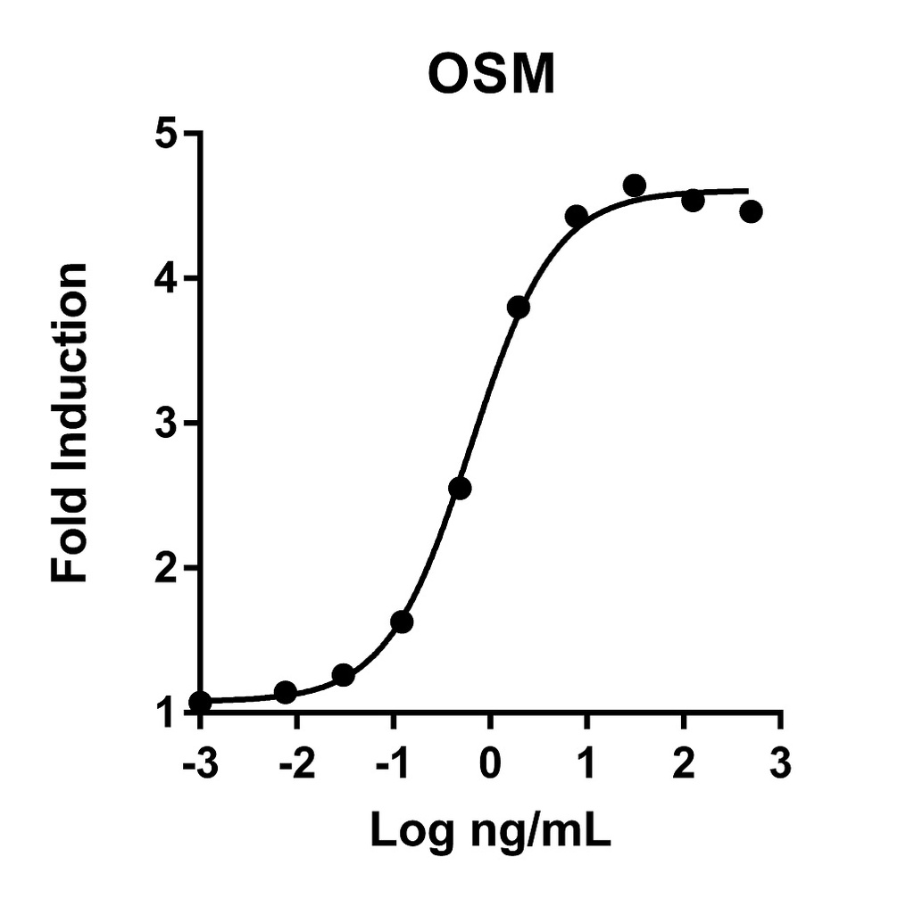 HumanKine® recombinant human OSM protein