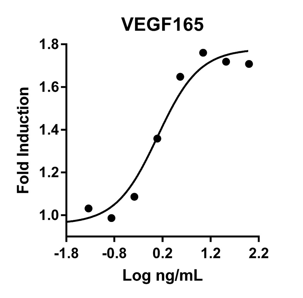 HumanKine® recombinant human VEGF165 protein