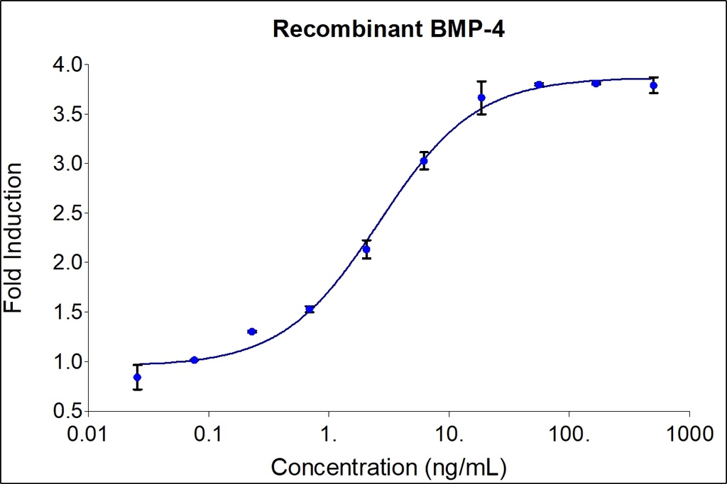HumanKine® recombinant human BMP-4 protein