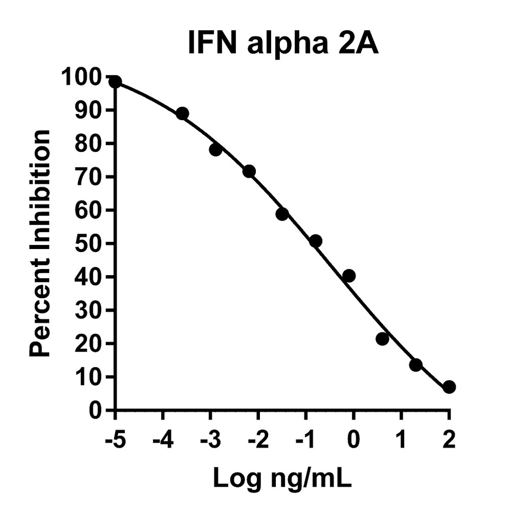 HumanKine® recombinant human IFN alpha 2A protein