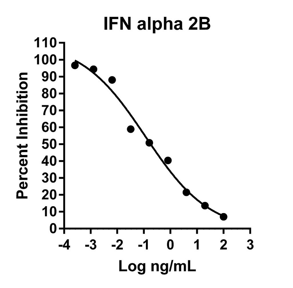 HumanKine® recombinant human IFN alpha 2B protein