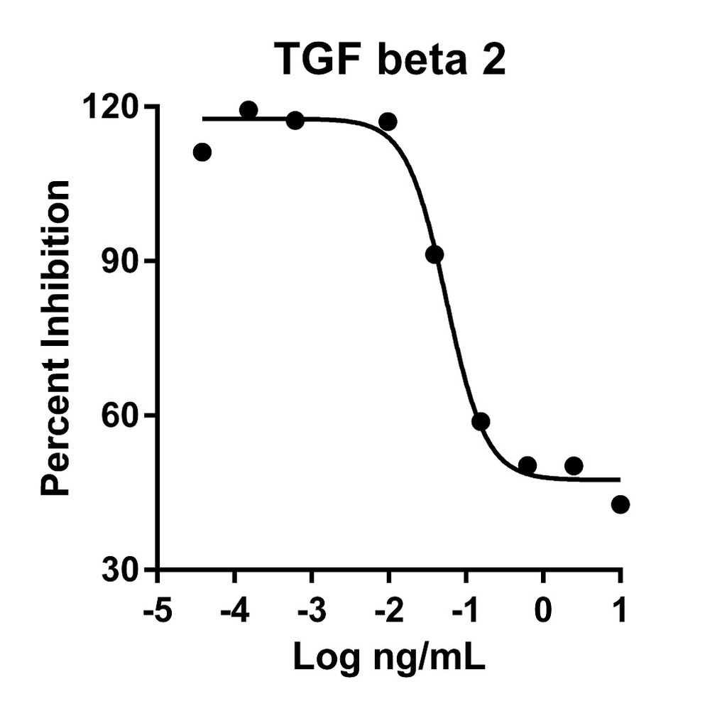 HumanKine® recombinant human TGF beta 2 protein