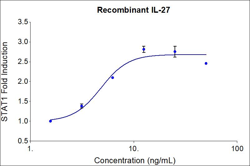 HumanKine® recombinant human IL-27 protein