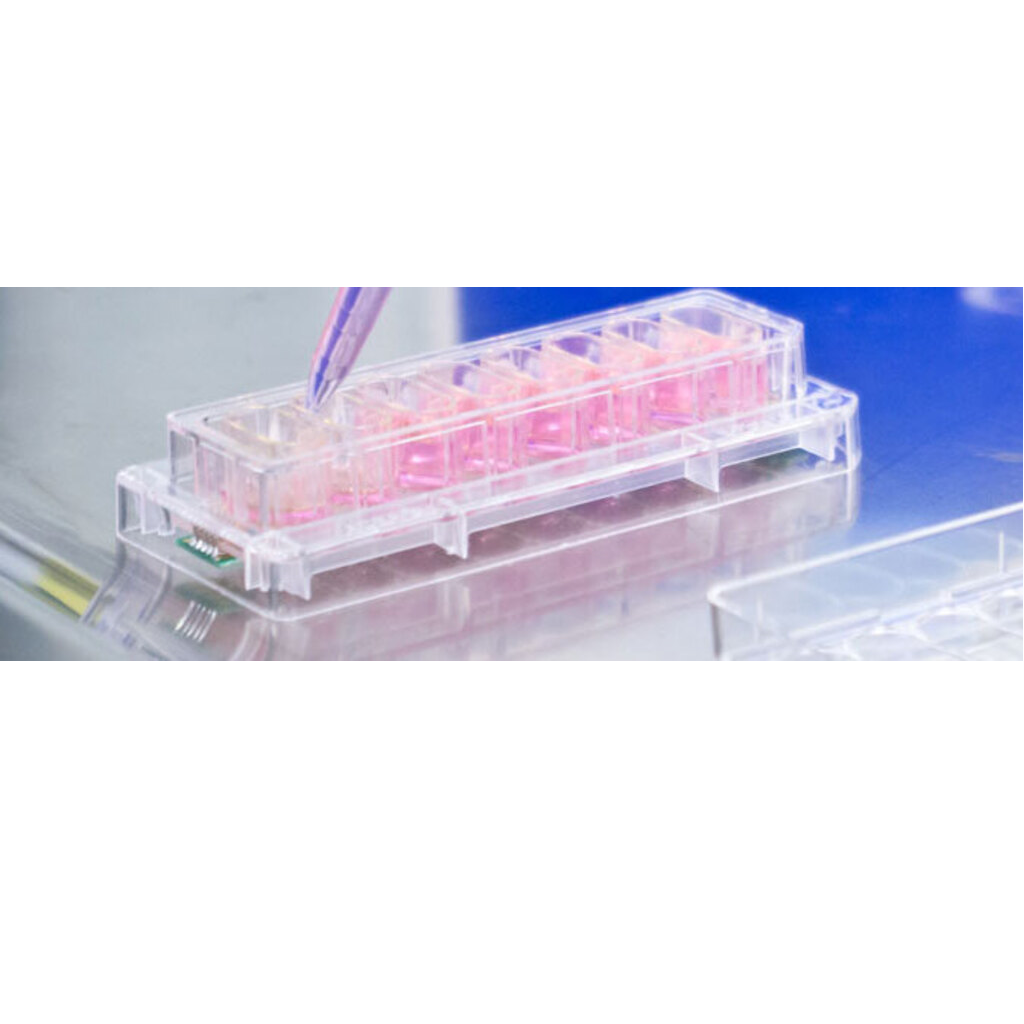 E-Plate L8 PET for the iCELLigence  1x6 Plates
