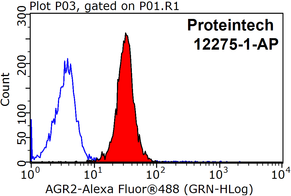 AGR2 Polyclonal antibody