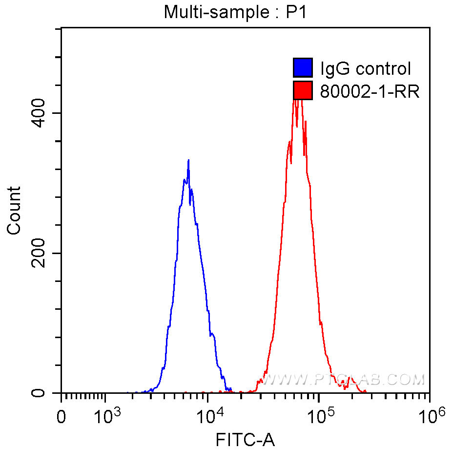 TDP-43 (for IF/FC) Recombinant antibody