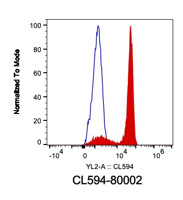 CoraLite®594-conjugated TDP-43 (for IF/FC) Recombinant antibody