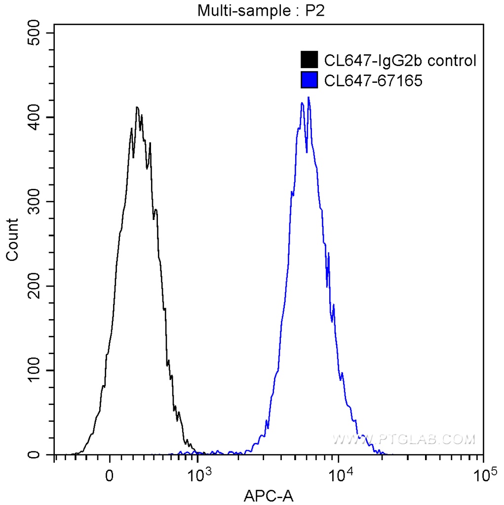 CoraLite®647-conjugated HDAC2 Monoclonal antibody