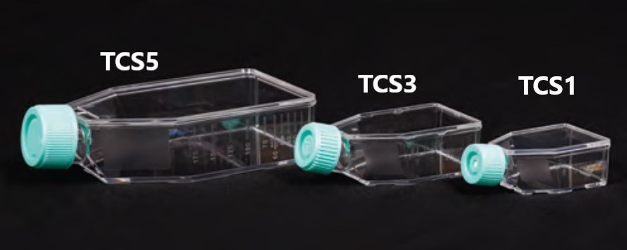 Tissue Culture Flask, non-treated, closed cap, 600 ml volume,
surface 182 cm2