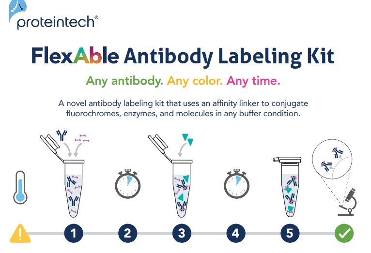 FlexAble CoraLite® Plus 555 Antibody Labeling Kit for Rabbit IgG, 200 Reaktionen