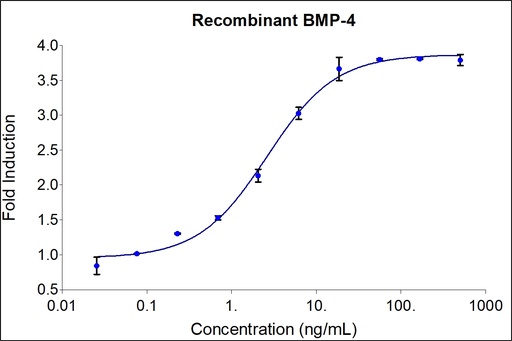 [HZ-1045-1000UG] HumanKine® recombinant human BMP-4 protein