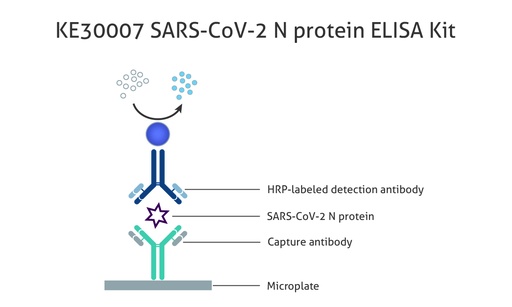 [KE30007-96T]   SARS-CoV-2 N protein ELISA Kit