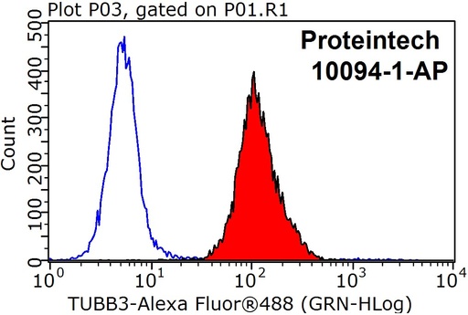 [10094-1-AP-150UL] Beta Tubulin Polyclonal antibody