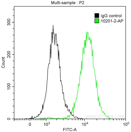 [10201-2-AP-20UL] ubiquitin Polyclonal antibody