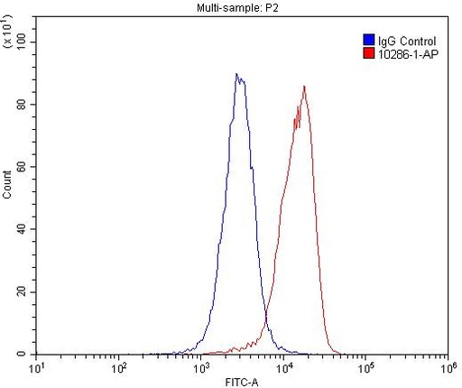 [10286-1-AP-150UL] uPAR Polyclonal antibody