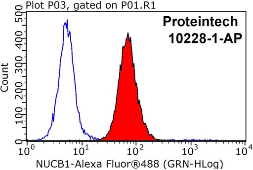 [10228-1-AP-150UL] nucleobindin 1 Polyclonal antibody