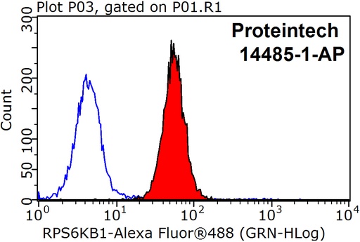 [14485-1-AP-150UL] p70(S6K) Polyclonal antibody