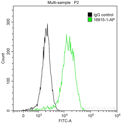 [16815-1-AP-20UL] p130Cas Polyclonal antibody