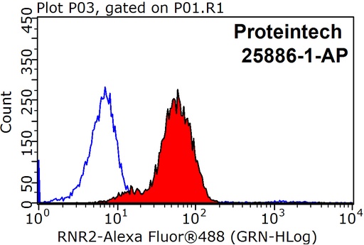 [25886-1-AP-150UL] humanin Polyclonal antibody