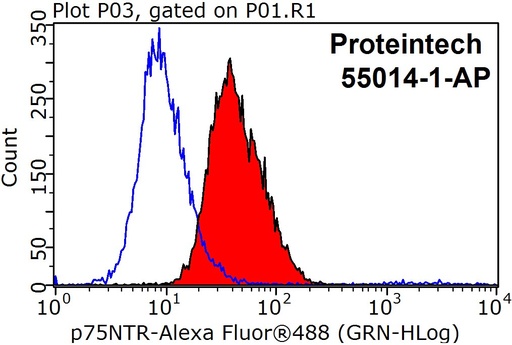 [55014-1-AP-150UL] p75NTR Polyclonal antibody