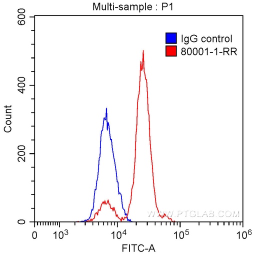 [80001-1-RR-100UL] TDP-43 Recombinant antibody