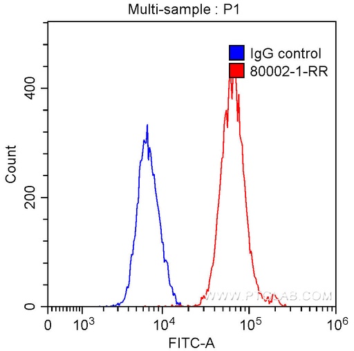 [80002-1-RR-100UL] TDP-43 (for IF/FC) Recombinant antibody
