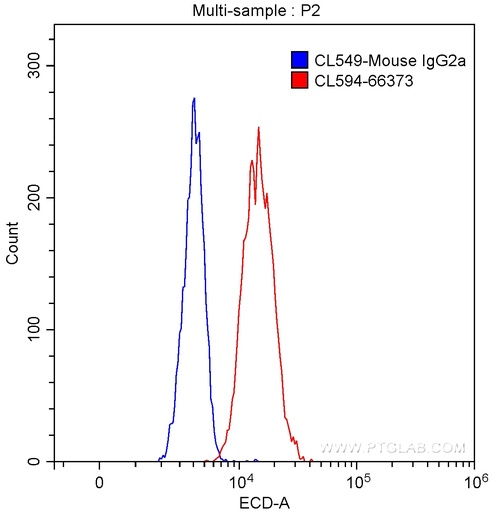 [CL594-66373-100UL] CoraLite®594-conjugated G6PD Monoclonal antibody