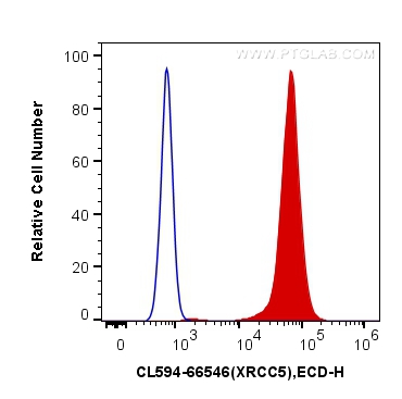 [CL594-66546-100UL] CoraLite®594-conjugated XRCC5 Monoclonal antibody