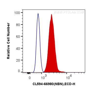 [CL594-66980-100UL] CoraLite®594-conjugated NBN Monoclonal antibody